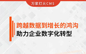跨越數(shù)據(jù)到增長的鴻溝，助力企業(yè)數(shù)字化轉(zhuǎn)型